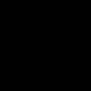 Meet your Posher, Isabella